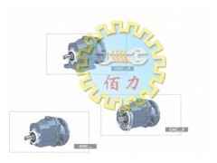 CAK齿轮减速机 意大利精密传动的卓越典范